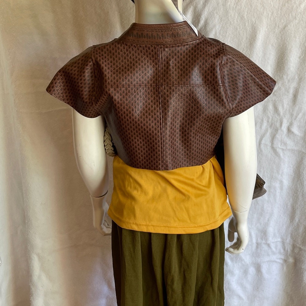Disney Raya Costume - Picture 2 of 8